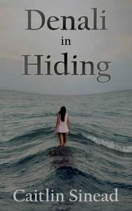 denali-in-hiding-cover-for-kindle