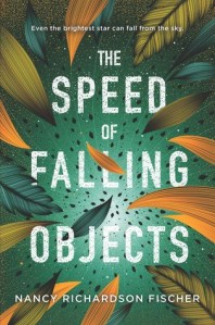 the speed of falling objects